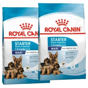 Royal Canin Maxi Starter